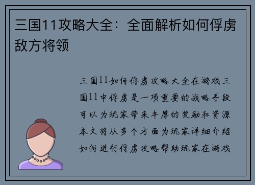 三国11攻略大全：全面解析如何俘虏敌方将领